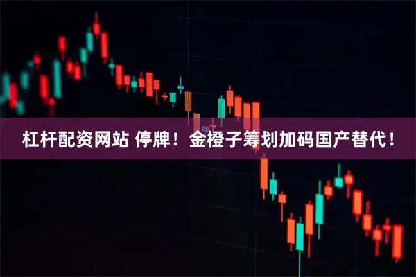 杠杆配资网站 停牌！金橙子筹划加码国产替代！